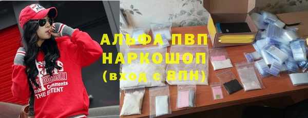 ECSTASY Ельня