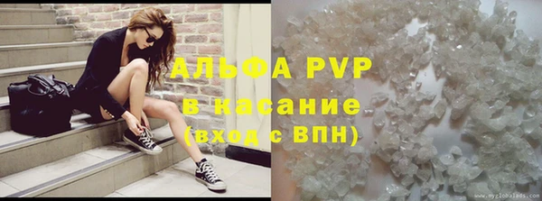 ECSTASY Ельня