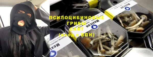 ECSTASY Ельня