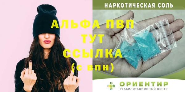 ECSTASY Ельня