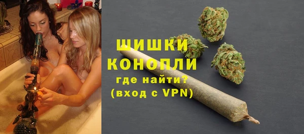 ECSTASY Ельня