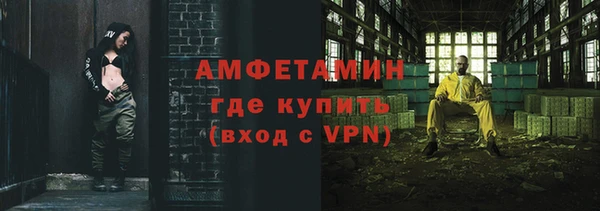 ECSTASY Ельня