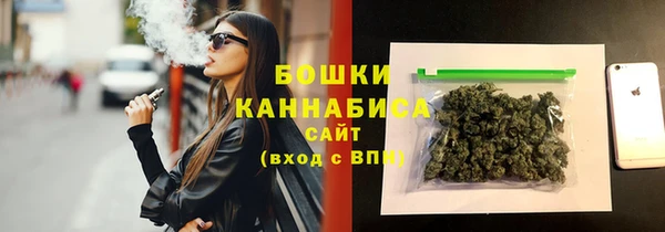 ECSTASY Ельня