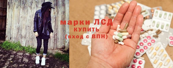 ECSTASY Ельня