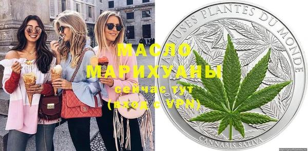 ECSTASY Ельня