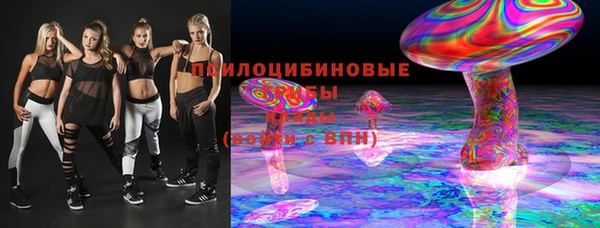 ECSTASY Ельня