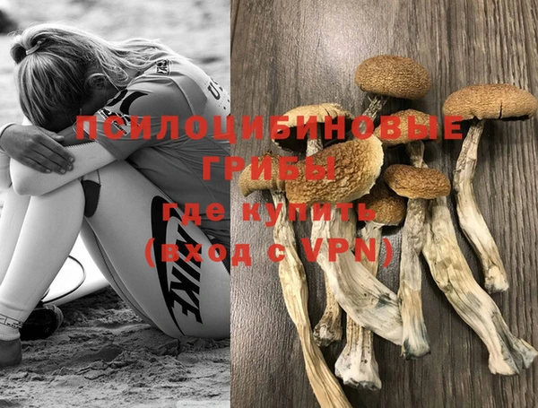 меф Елабуга