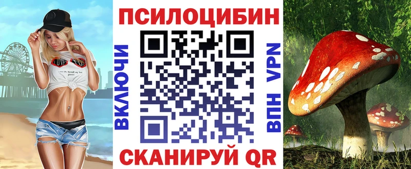 Псилоцибиновые грибы MAGIC MUSHROOMS  наркошоп  Сретенск 